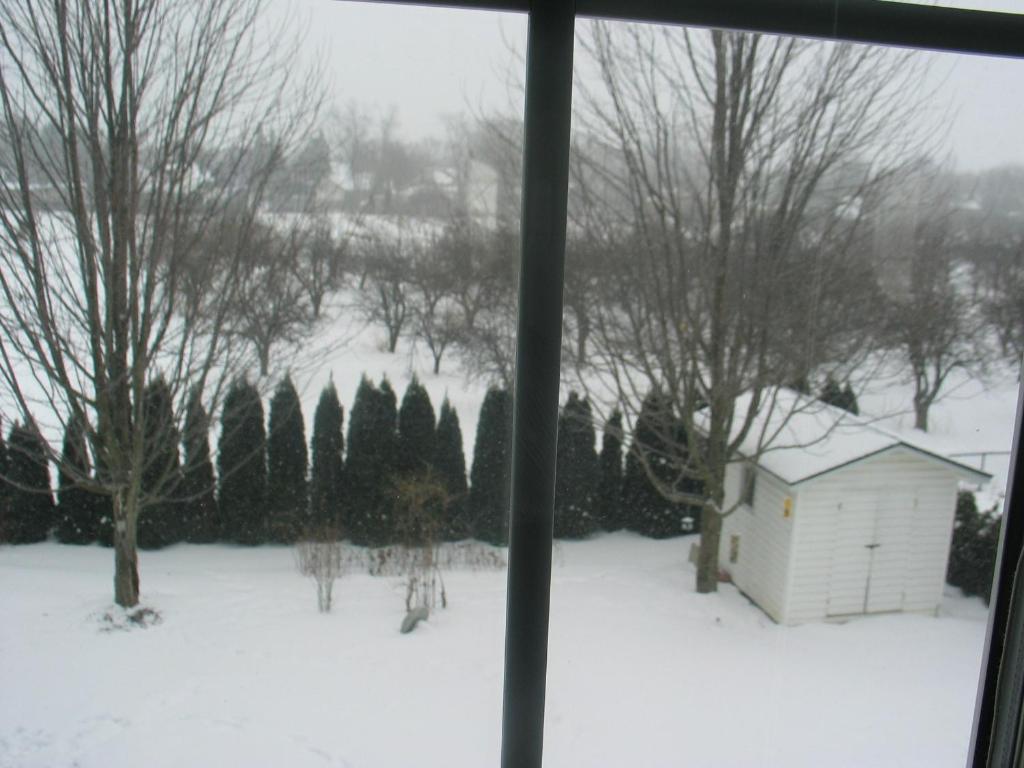 Arnica Bed & Breakfast Bed & Breakfast Niagara-on-the-Lake Екстериор снимка
